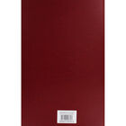 A4 2020 Red Day a Page Diary image number 2