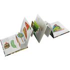 The Very Hungry Caterpillar: A Pull-Out Pop-Up image number 2