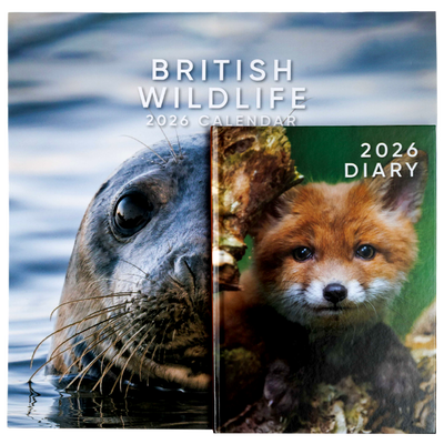 British Wildlife 2026 Calendar & Diary Set image number 1