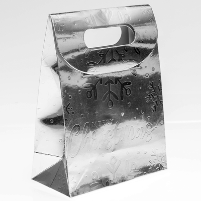 Silver Mini Treat Bags: Pack of 3 image number 4