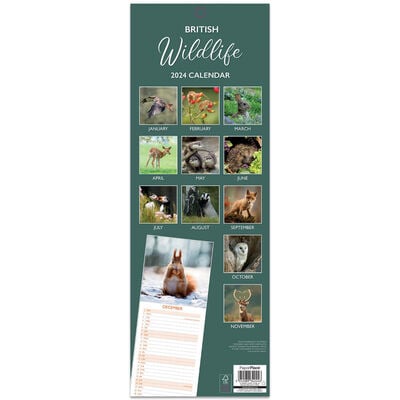 2024 Wildlife Slim Calendar and Diary Set image number 2