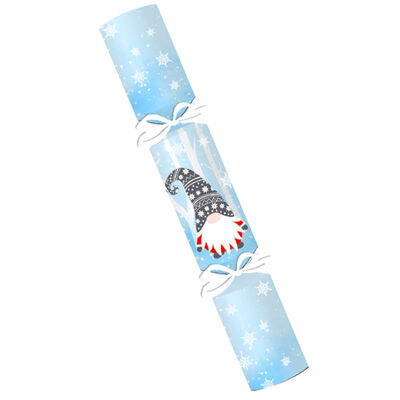 Make Your Own Christmas Crackers: Ice Gonk image number 2