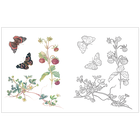 A Country Diary Colouring Book image number 2