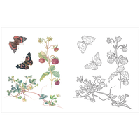 A Country Diary Colouring Book