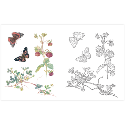 A Country Diary Colouring Book image number 2