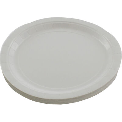 Frosty White Paper Plates - 20 Pack image number 2