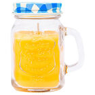 Citronella Candle Jar: Assorted image number 3