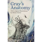 Gray's Anatomy image number 1