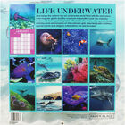 Life Underwater 2020 Calendar and Diary Set image number 2