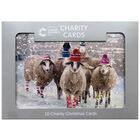 Sheep Cancer Research UK Charity Christmas Cards: Pack of 10 image number 1