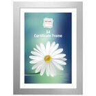 A4 Silver Certificate Frame image number 1