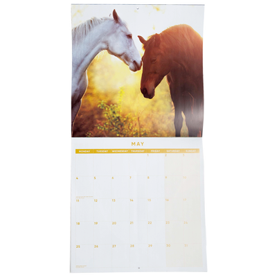 Horses 2026 Calendar & Diary Set image number 3