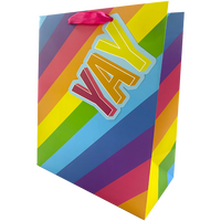 Large Gift Bag: Rainbow