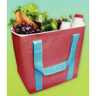 Blue Green Cool Bag image number 2