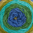 Caron Cakes Blueberry Kiwi Yarn - 200g image number 2
