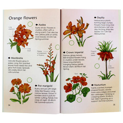 Garden Flowers image number 2