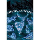 Harry Potter Patronus Wall Poster image number 1