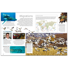 Animal: DK Eyewitness image number 3