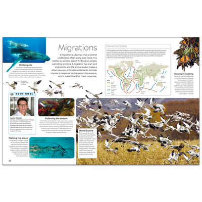 Animal: DK Eyewitness image number 3