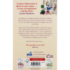 A Minor Indescretion image number 2