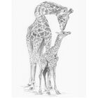 Giraffe and Baby Sketching Made Easy Set image number 2