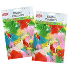 Mixed Colour Easter Feathers - 2 Packs image number 1