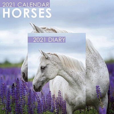 Horses 2021 Calendar and Diary Set image number 1