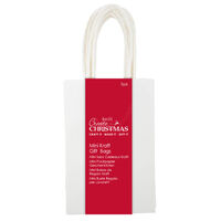Mini White Kraft Gift Bags: Pack of 5