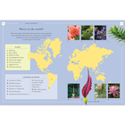 RHS Puzzles & Brain Teasers for Gardeners image number 4