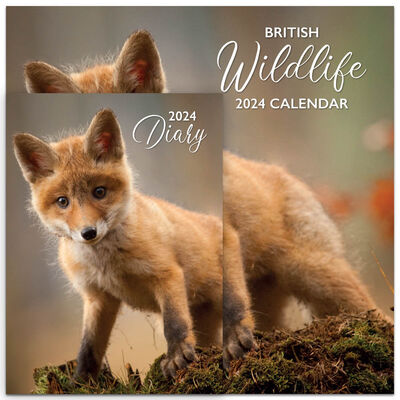 2024 British Wildlife Calendar and Diary Set image number 1