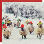 White Glitter Sheep Luxury Christmas Cards: Pack Of 8 image number 1