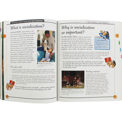 KISS: Guide To Raising A Puppy image number 2