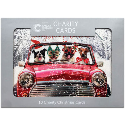 Dogs in Car Cancer Research UK Charity Christmas Cards: Pack of 10 image number 1