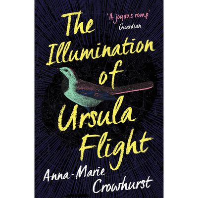 The Illumination of Ursula Flight image number 1