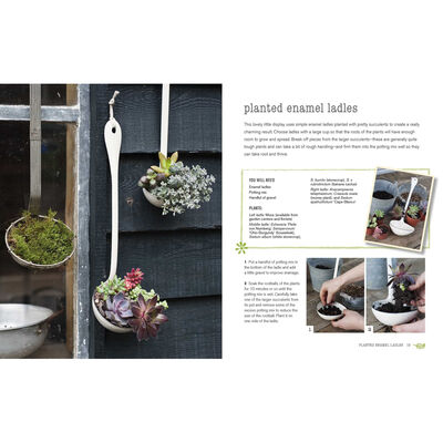 Tiny Tabletop Gardens image number 2