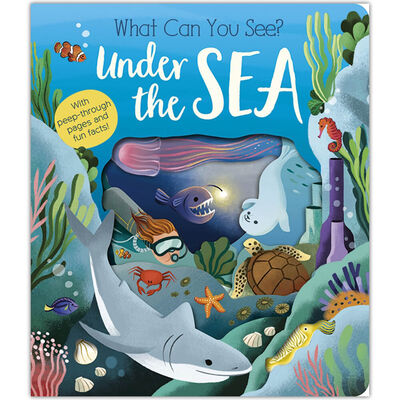 What Can You See?: Under the Sea image number 1