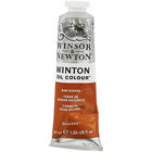 Winsor & Newton Winton Oil Colour Tube - Raw Sienna image number 1