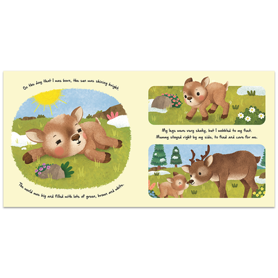 Little Reindeer image number 2