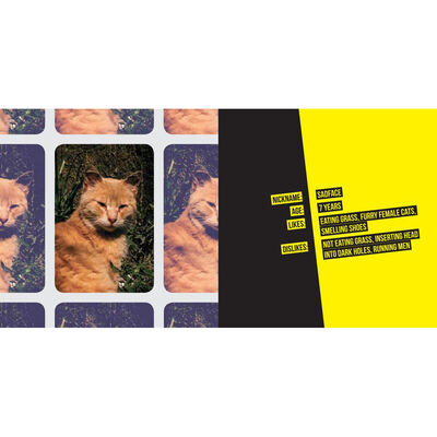 Cat Selfies image number 3