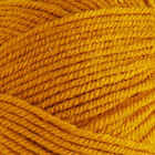 Bonus DK: Golden Yarn 100g image number 2
