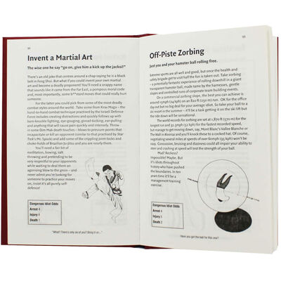 The Dangerous Book for Idiots image number 2