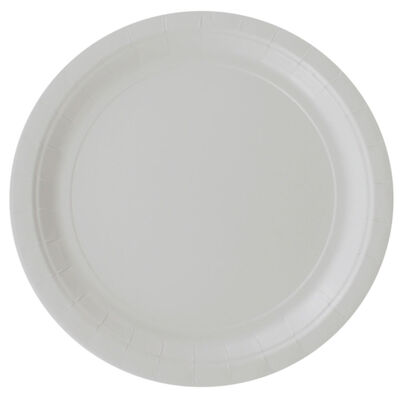 Frosty White Paper Plates - 50 Pack image number 1