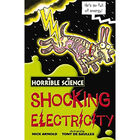 Horrible Science: Shocking Electricity image number 1