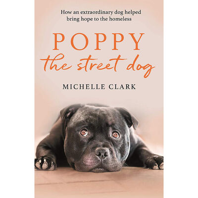 Poppy The Street Dog image number 1