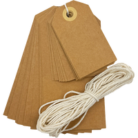 Kraft Parcel Tags: Pack of 30