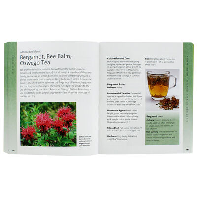 The Herb Bible image number 3