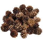 Pinecones Embellishments: Pack of 30 image number 1