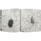 Where the Wildflowers Grow image number 3