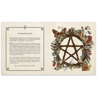 The Witch Colouring Book