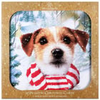 Premium Dog Christmas Cards: Pack of 10 image number 1